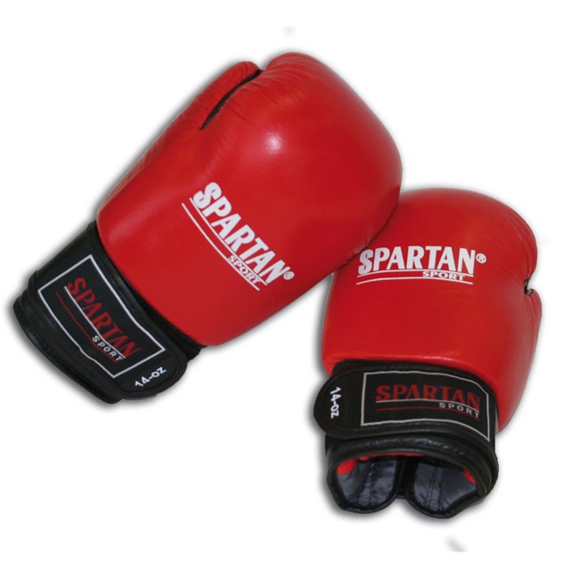 Boxovací / Boxerské rukavice 8, 10, 12, 14 oz