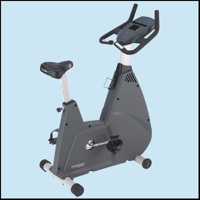 NB 3000 Upright Bike