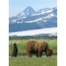 přednáška: Alaska - Jukon
