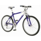 Mesa GS (modrá/stříbrná) 17''
