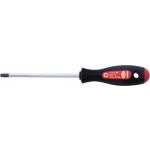 8081 25 - Šroubovák TX Profi Twin Plast