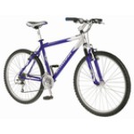 Mesa GS (modrá/stříbrná) 17''