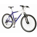 Moab 3 (modrá/bílá) 21''